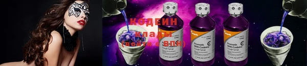 индика Балахна