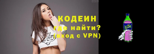 индика Протвино