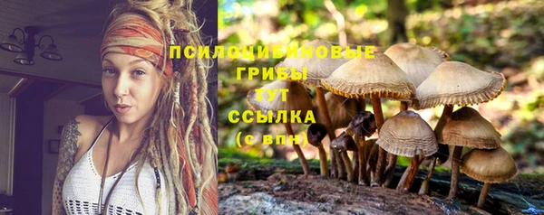 spice Балабаново