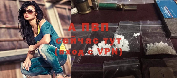 индика Балахна