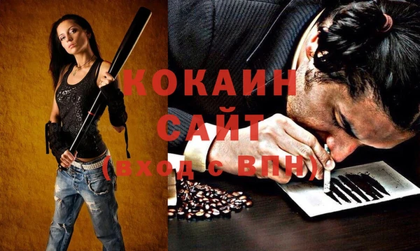 индика Балахна