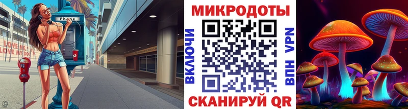 Галлюциногенные грибы Psilocybine cubensis  Колпашево 